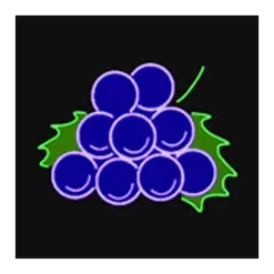 icon 3