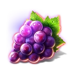 icon 4