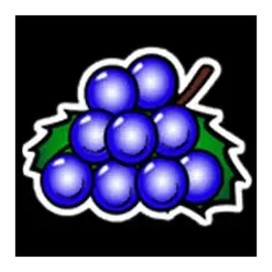 icon 3