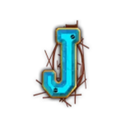 icon 13