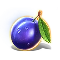 icon 5