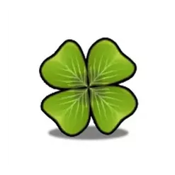 icon 6