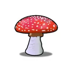 icon 4