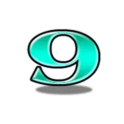 icon 13