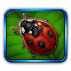 icon 3