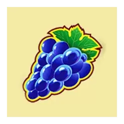 icon 5
