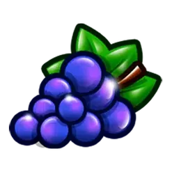 icon 5