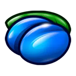 icon 6