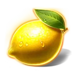 icon 5