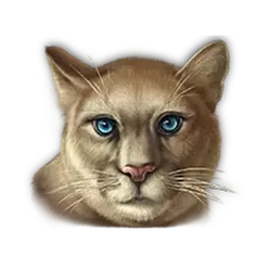 icon 6