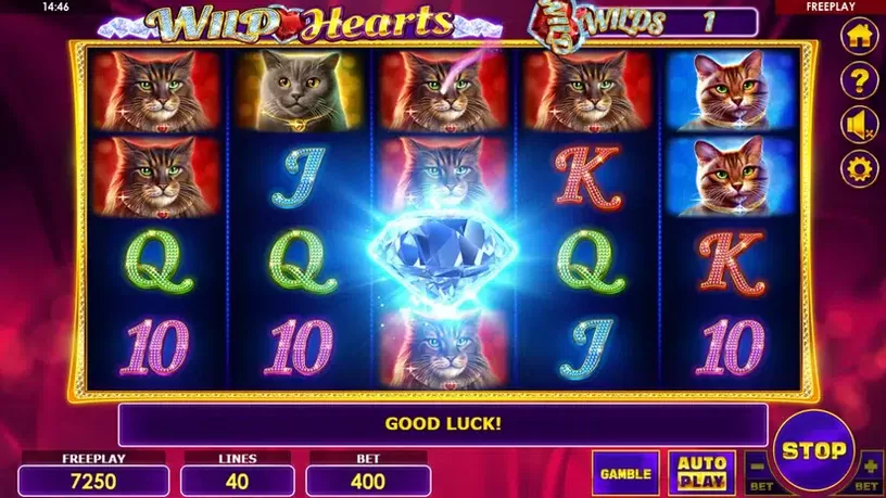 Wild Hearts slot screenshot 4
