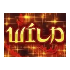 icon 12