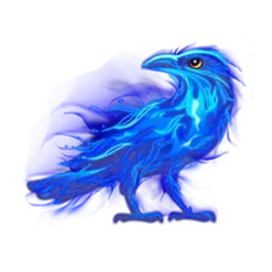 icon 4
