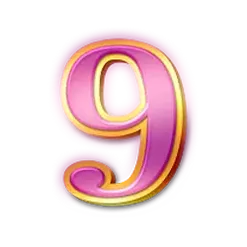 icon 13