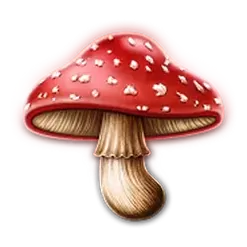 icon 6