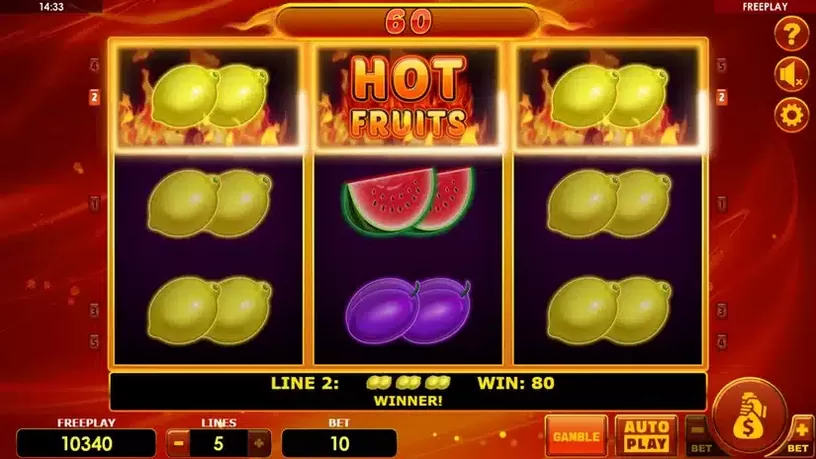 Hot Fruits Deluxe slot screenshot 4