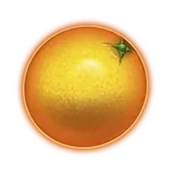 icon 5