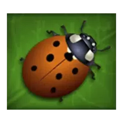icon 2