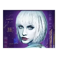 icon 2