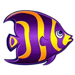 icon 3