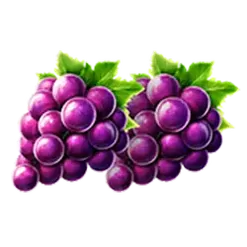 icon 4