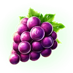 icon 5