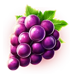 icon 4