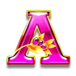 icon 6