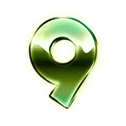 icon 13