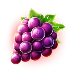 icon 5