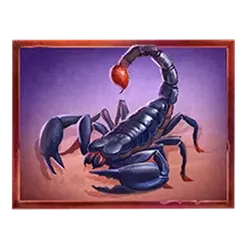 icon 5