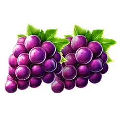 icon 4