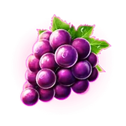 icon 5