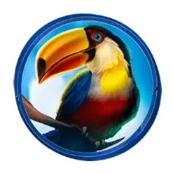 icon 6