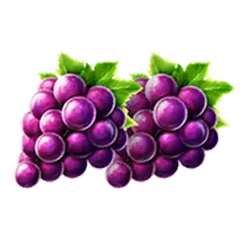 icon 4