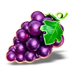 icon 4