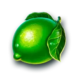 icon 13