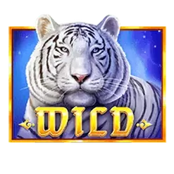 icon 1