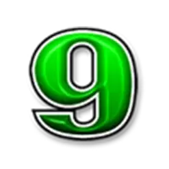 icon 13