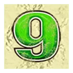 icon 13