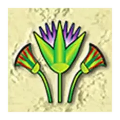 icon 7