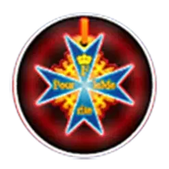 icon 13