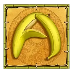 icon 5