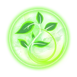 icon 6