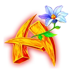 icon 6