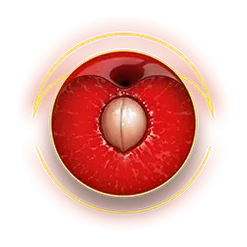 icon 6