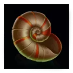 icon 11