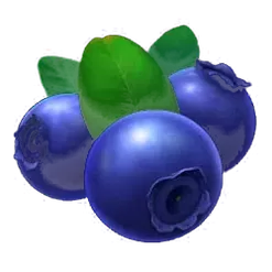 icon 9