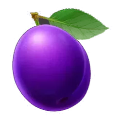 icon 10