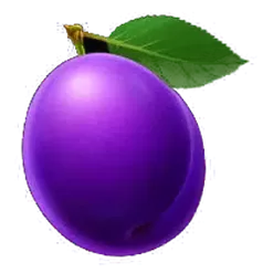 icon 10